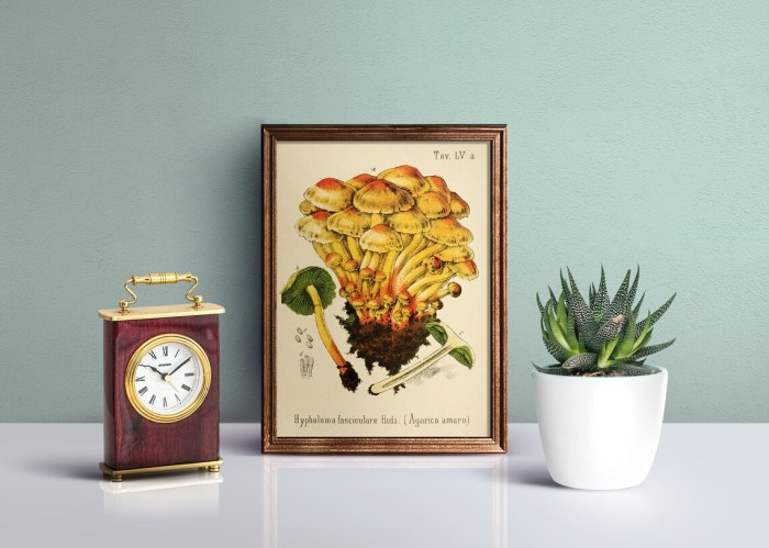 Vintage mushroom kitchen decor